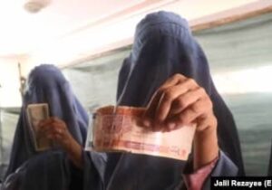 جمعیت هلال احمر: به هزار بیوه زن در پکتیا کمک نقدی توزیع شد