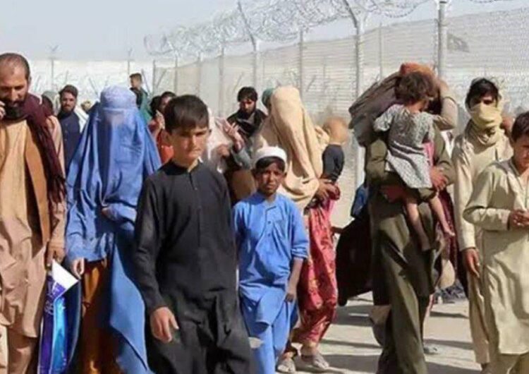  نگرانی اتحادیه اروپا نسبت به سرنوشت مهاجرین افغان در پاکستان.