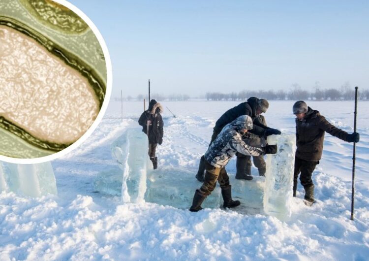آیا ذوب شدن یخ های قطب شمال، تنها دلیل آزاد سازی ویروس زامبی خواهد بود؟ 