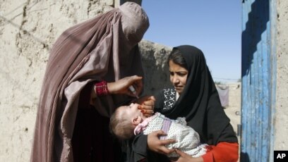 عبدالسلام حنفی: بیماری پولیو در افغانستان محو شده است !
