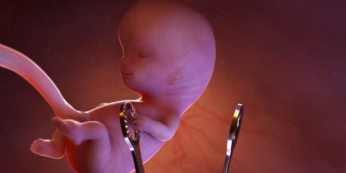 افزایش آمار «سقط ناخواسته‌ جنین» میان زنان باردار در زنده‌جان ولایت هرات !