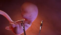 افزایش آمار «سقط ناخواسته‌ جنین» میان زنان باردار در زنده‌جان ولایت هرات !